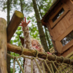 f3e0924279fec4f14a3b9541290b12d4e4e3eb2b 1