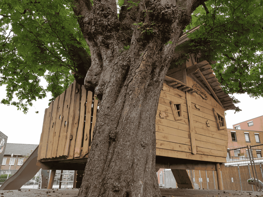 Hele grote boom met een boomhut met allemaal raampjes en houten details. De boom is geïntegreerd in de boomhut